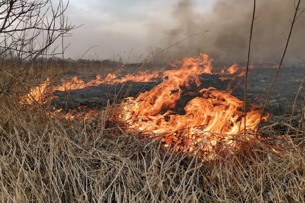 Пожарная безопасность в летний период.