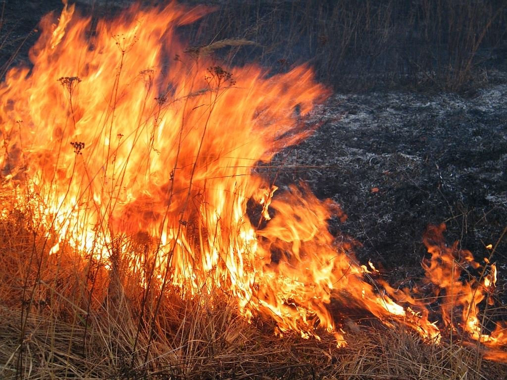 Пожарная безопасность в летний период.